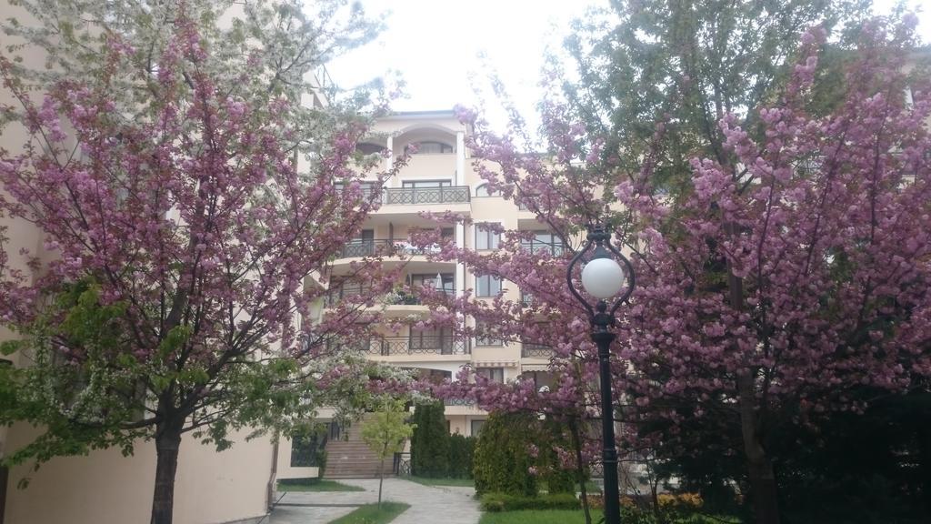 Krassy Summer Apartment Golden Sands Exterior photo